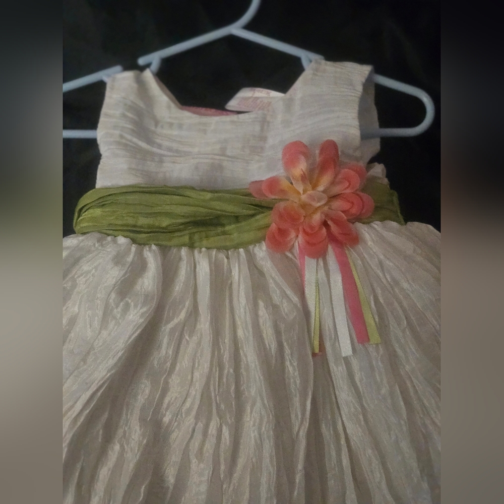 Pre-owned baby girl sz 12 months While Tulle Dress